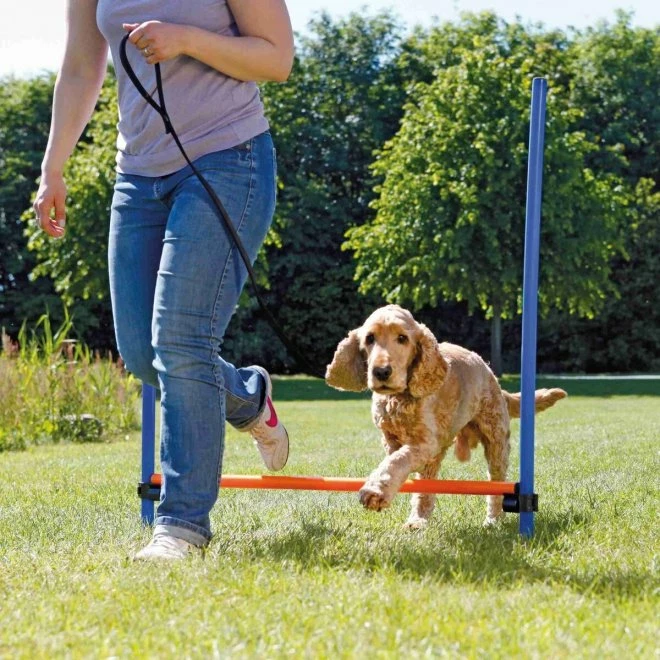 Trixie Agility Hopphinder 6 Trixie Agility Hopphinder - Bilde 4
