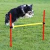 Kerbl Agilityset 3-deler Rød & Gul -Kjæledyrutstyr Salgsbutikk agility estesetti az 47