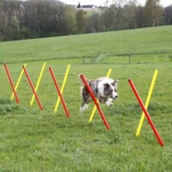 Kerbl Agilityset 3-deler Rød & Gul 13 Kerbl Agilityset 3-deler Rød & Gul -Kjæledyrutstyr Salgsbutikk agility estesetti az 72