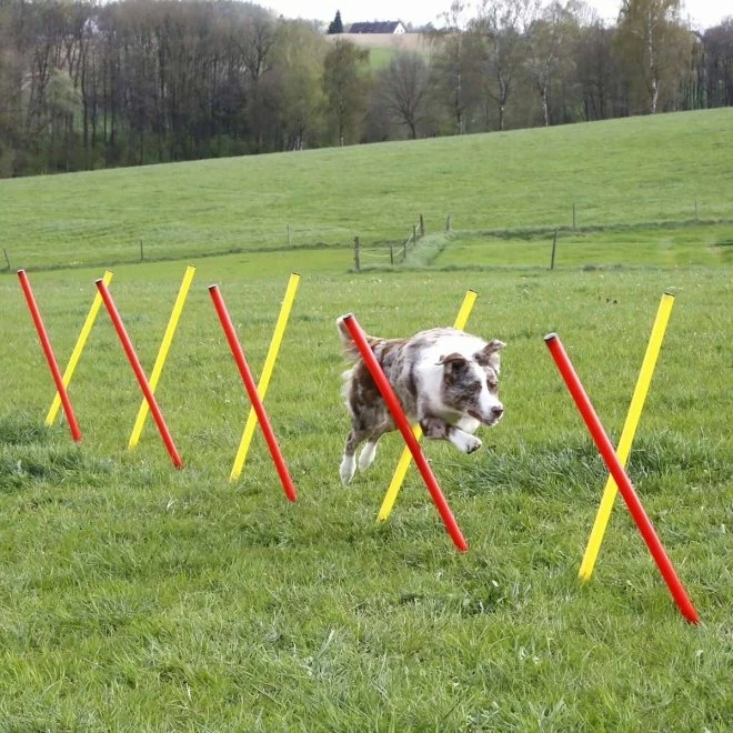 Kerbl Agilityset 3-deler Rød & Gul 5 Kerbl Agilityset 3-deler Rød & Gul - Bilde 3