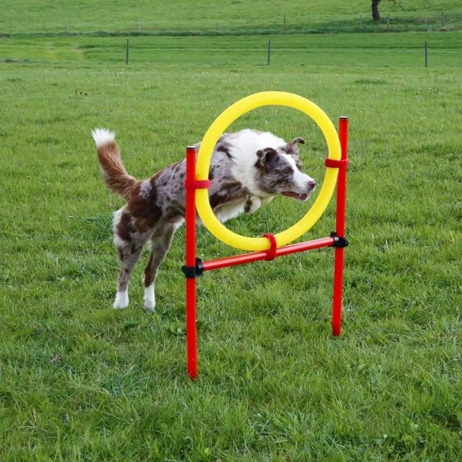 Kerbl Agilityset 3-deler Rød & Gul 4 Kerbl Agilityset 3-deler Rød & Gul - Bilde 2