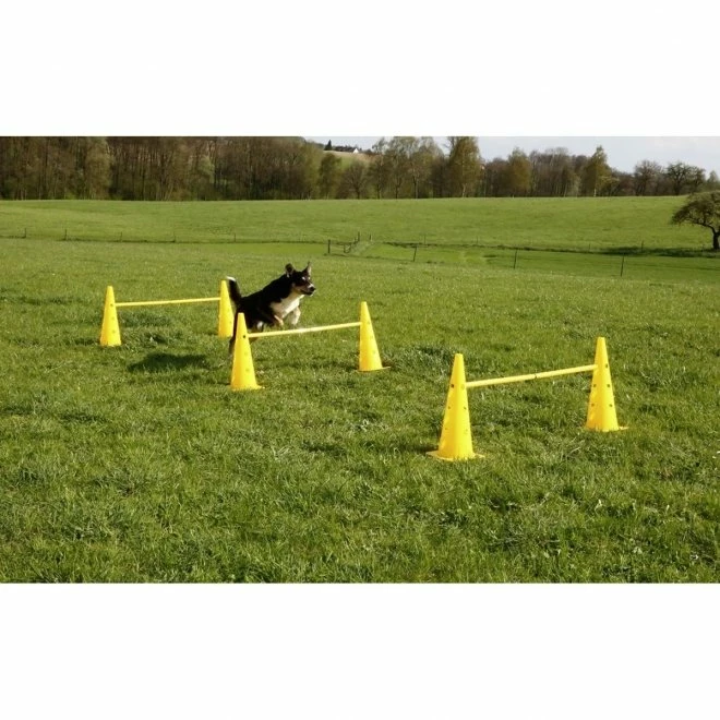 Kerbl Agility Sett Koner & Hinder 4 Kerbl Agility Sett Koner & Hinder - Bilde 2