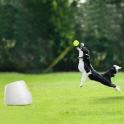 All For Paws HyperFetch Maxi Ballkaster -Kjæledyrutstyr Salgsbutikk all for paws hyperfetch bollkastare maxi 0f