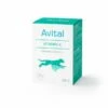 Avital Vitamin C -Kjæledyrutstyr Salgsbutikk avital vitamin c 2a