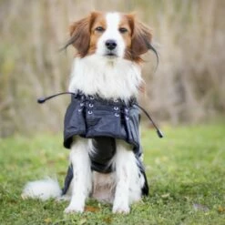 Back On Track Hundedekken Standard -Kjæledyrutstyr Salgsbutikk back on track back on track koiranloimi uusi tuotekuva 3 e3