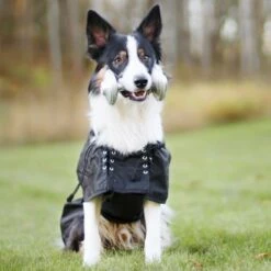 Back On Track Dog Rain Rug (no Filling), Black -Kjæledyrutstyr Salgsbutikk back on track back on track sadeloimi 9b