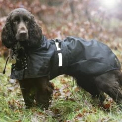 Back On Track Dog Rain Rug (no Filling), Black -Kjæledyrutstyr Salgsbutikk back on track back on track sadeloimi 3 9c