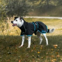 Back On Track Bark Hundedekken Vetzoo Limited Edition Svart -Kjæledyrutstyr Salgsbutikk back on track bark hundtacke vetzoo svart 1c