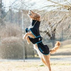 Back On Track Bark Hundedekken Vetzoo Limited Edition Svart -Kjæledyrutstyr Salgsbutikk back on track bark hundtacke vetzoo svart 6b