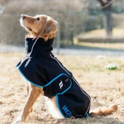 Back On Track Bark Hundedekken Vetzoo Limited Edition Svart -Kjæledyrutstyr Salgsbutikk back on track bark hundtacke vetzoo svart 6c