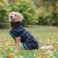 Back On Track Bark Hundedekken Vetzoo Limited Edition Svart