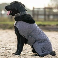 Back On Track Haze Collection Hundedekken Grå