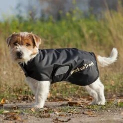 Back On Track Hugo Hundedekken Svart -Kjæledyrutstyr Salgsbutikk back on track koirantakki hugo 3e