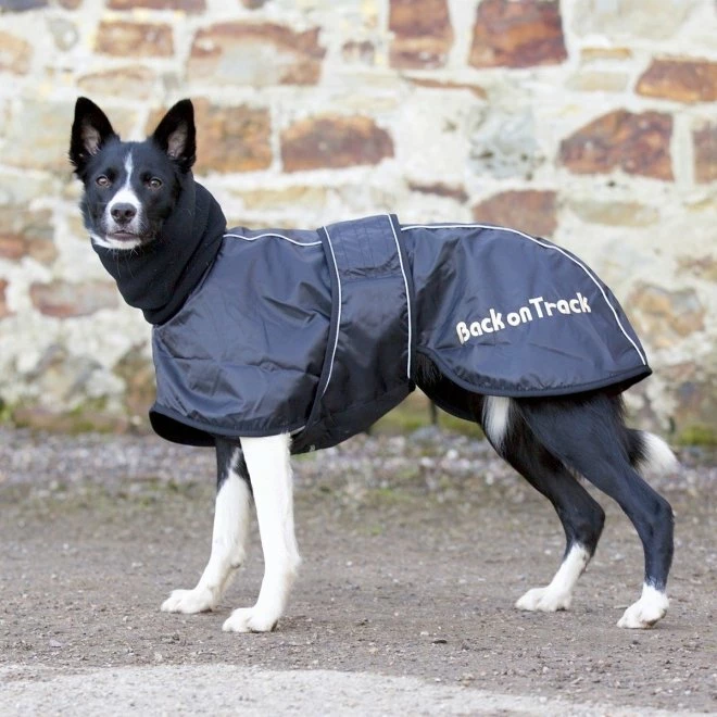 Back On Track Hundedekken Whippet 5 Back On Track Hundedekken Whippet - Bilde 3