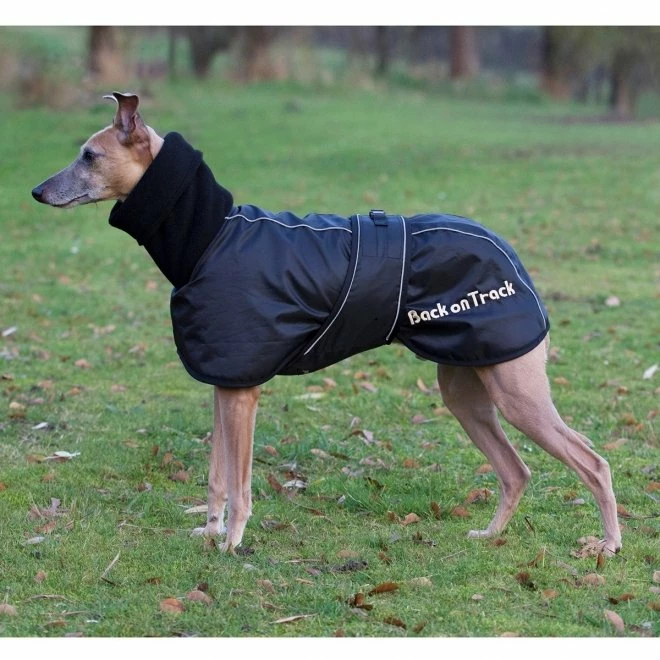 Back On Track Hundedekken Whippet 4 Back On Track Hundedekken Whippet - Bilde 2
