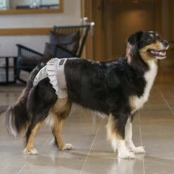 FinNero Ballerina Tispetruse Grå