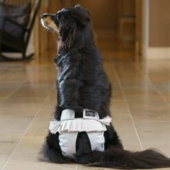 FinNero Ballerina Tispetruse Grå -Kjæledyrutstyr Salgsbutikk ballerina juoksuhousut harmaa az d5