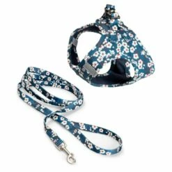 Basic Blossom Kattesele & Kobbel Blå