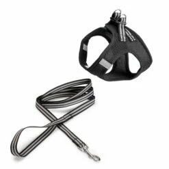 Basic Cat Sporty Kattesele & Kobbel Svart