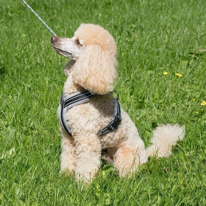 Basic Cosy Y-Sele Røyk 3 Basic Cosy Y-Sele Røyk