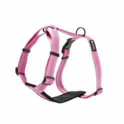 Basic First Y-sele Valp Rosa