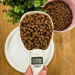 Basic Digital Måleskje -Kjæledyrutstyr Salgsbutikk basic food scoop with scale 18