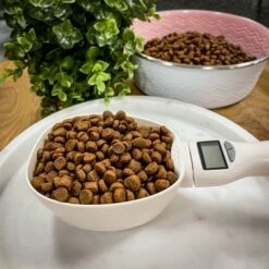 Basic Digital Måleskje