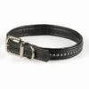 Basic Sparkle Diamanthalsband -Kjæledyrutstyr Salgsbutikk basic sparkle diamanthalsband svart 81