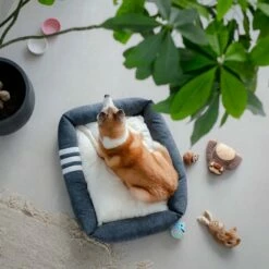 Basic WellB Ortopedisk Seng Grå -Kjæledyrutstyr Salgsbutikk basic wellb ortopedisk badd gra ff