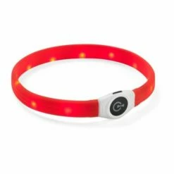 Basic Wide LED-halsband -Kjæledyrutstyr Salgsbutikk basic wide led halsband orange df