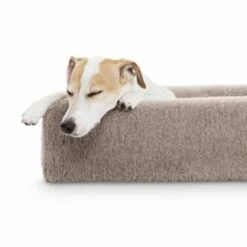 Bia Bed Overtrekk Pilé Beige/Grå -Kjæledyrutstyr Salgsbutikk bia badd pile overdrag 65