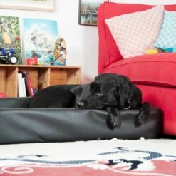 Bia Bed Original Hundeseng Svart -Kjæledyrutstyr Salgsbutikk bia hundbadd svart a1