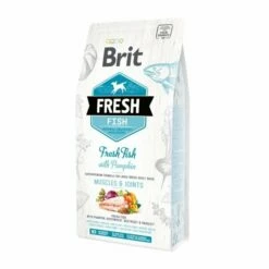 Brit Fresh Fish With Pumpkin Adult Large