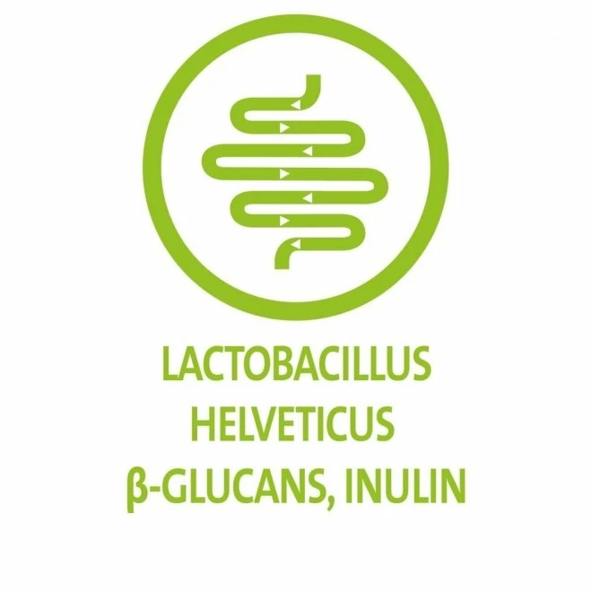 Brit Vitamins Probiotic 150 G 7 Brit Vitamins Probiotic 150 G - Bilde 5