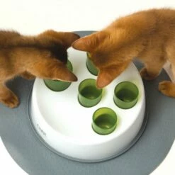 Catit Cat It Senses 2.0 Digger -Kjæledyrutstyr Salgsbutikk catit senses 20 digger cc