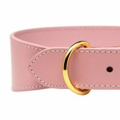 Collar Of Sweden Brett Hundehalsbånd Lysrosa -Kjæledyrutstyr Salgsbutikk collar of sweden solkipanta levea pinkki az 70