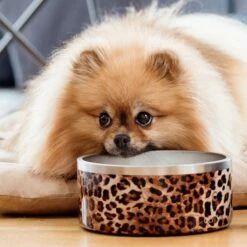 Collar Of Sweden Hundeskål 900 Ml -Kjæledyrutstyr Salgsbutikk collar of sweden teraskuppi liukuesteella mattamusta az 40