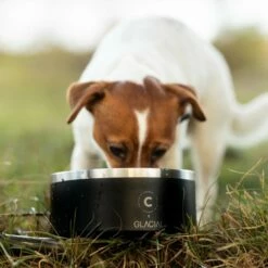 Collar Of Sweden Hundeskål 900 Ml -Kjæledyrutstyr Salgsbutikk collar of sweden teraskuppi liukuesteella mattamusta az 67