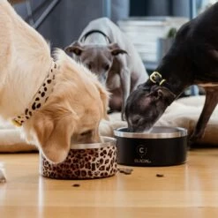 Collar Of Sweden Hundeskål 900 Ml -Kjæledyrutstyr Salgsbutikk collar of sweden teraskuppi liukuesteella mattamusta az 6e