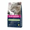 Eukanuba Cat Adult Hairball Control Chicken -Kjæledyrutstyr Salgsbutikk eukanuba adult hairball 99