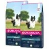 Eukanuba Adult Small & Medium Breed Lamb&Rice 2 X 12kg