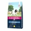 Eukanuba Dog Mature Medium Breed Chicken -Kjæledyrutstyr Salgsbutikk eukanuba dog mature medium breed 8e