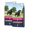 Eukanuba Dog Senior Large 2 X 15kg -Kjæledyrutstyr Salgsbutikk eukanuba dog senior large 2 x 15kg 13