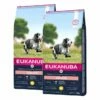 Eukanuba Dog Senior Medium 2 X 15kg -Kjæledyrutstyr Salgsbutikk eukanuba dog senior medium 2 x 15kg f5