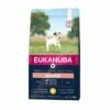 Eukanuba Dog Senior Small Breed -Kjæledyrutstyr Salgsbutikk eukanuba dog senior small breed 5e