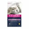 Eukanuba Kitten Healthy Start Chicken