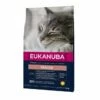 Eukanuba Cat Senior Chicken