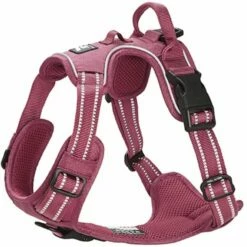 Feel Active Training Hundesele Vinrød