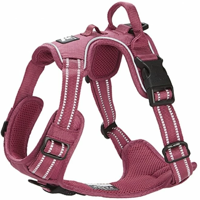 Feel Active Training Hundesele Vinrød 3 Feel Active Training Hundesele Vinrød