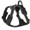 Feel Active Training Hundesele Svart -Kjæledyrutstyr Salgsbutikk feel active 135654 feel active training harness black e7